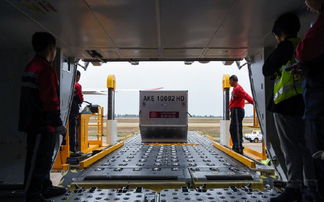 吉祥航空春运保障130万件托运行李