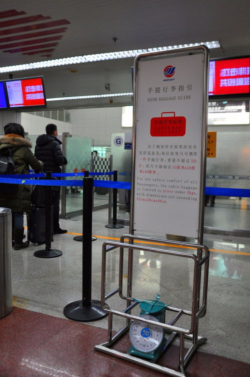 这场近30亿人次的大迁徙,今天开始了