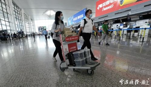 宁波机场杨梅托运热，一单四千引热议 是特色服务还是天价行李费？
